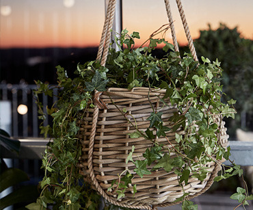 Outdoor hanging plant pot in nature