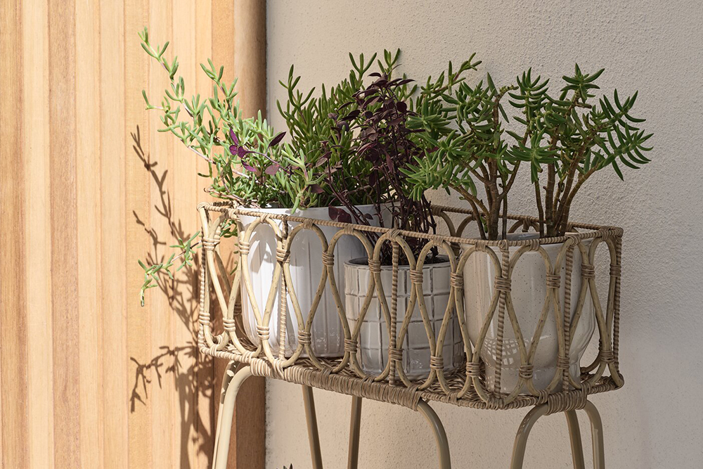 Planters & Pots 