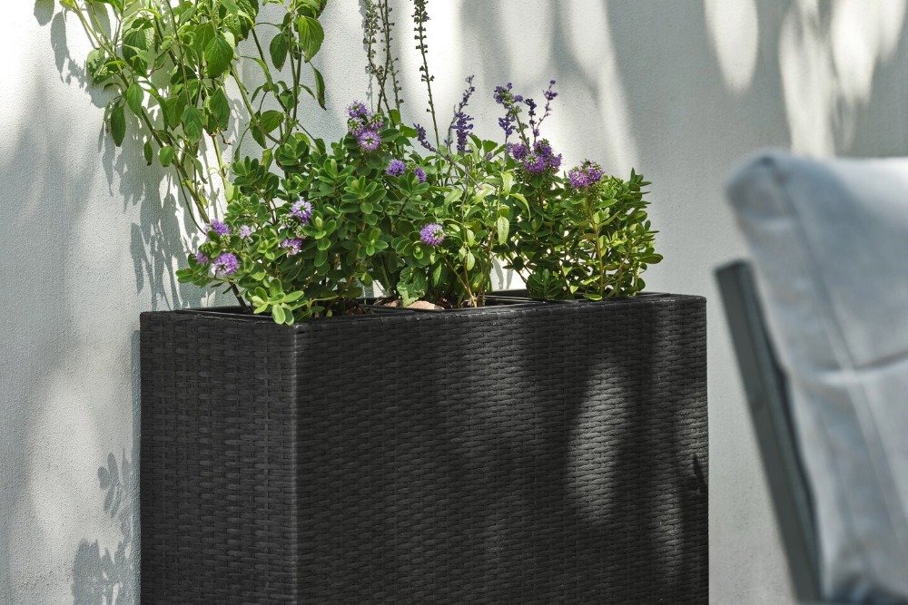 Planters | Save up to 50%