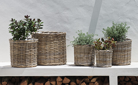 A buyer’s guide to garden planters and plant pots