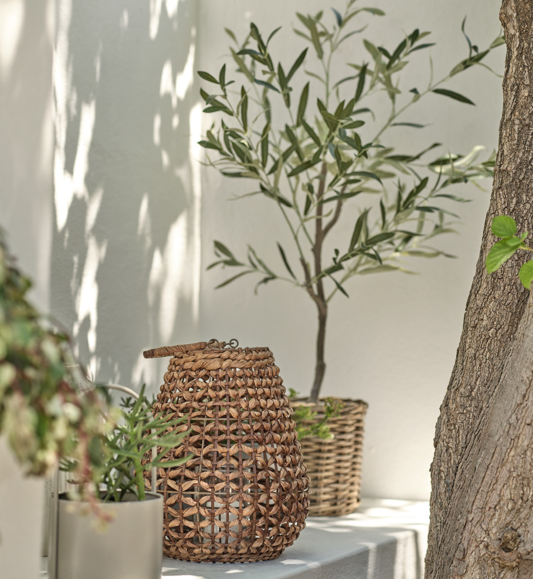 woven basket and artificial olive tree 
