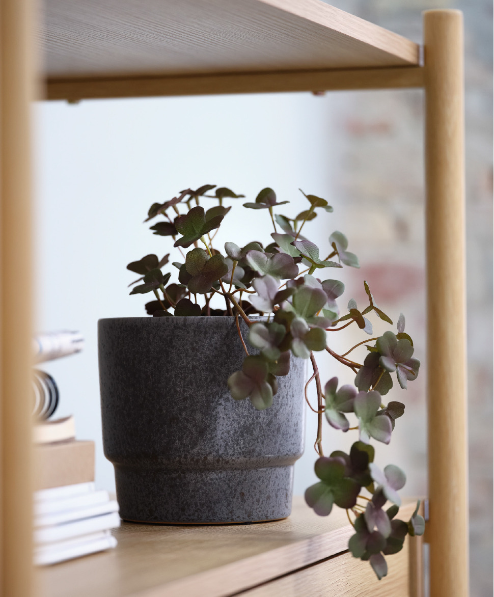 Porcelain flower pot on an oak shelving unit