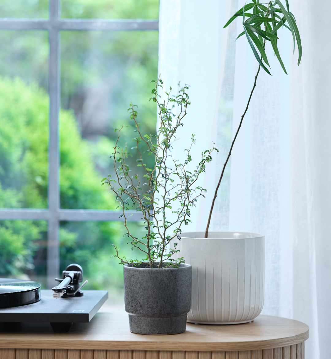 A grey plant pot and a white plant pot on top of an oak coloured sideboard