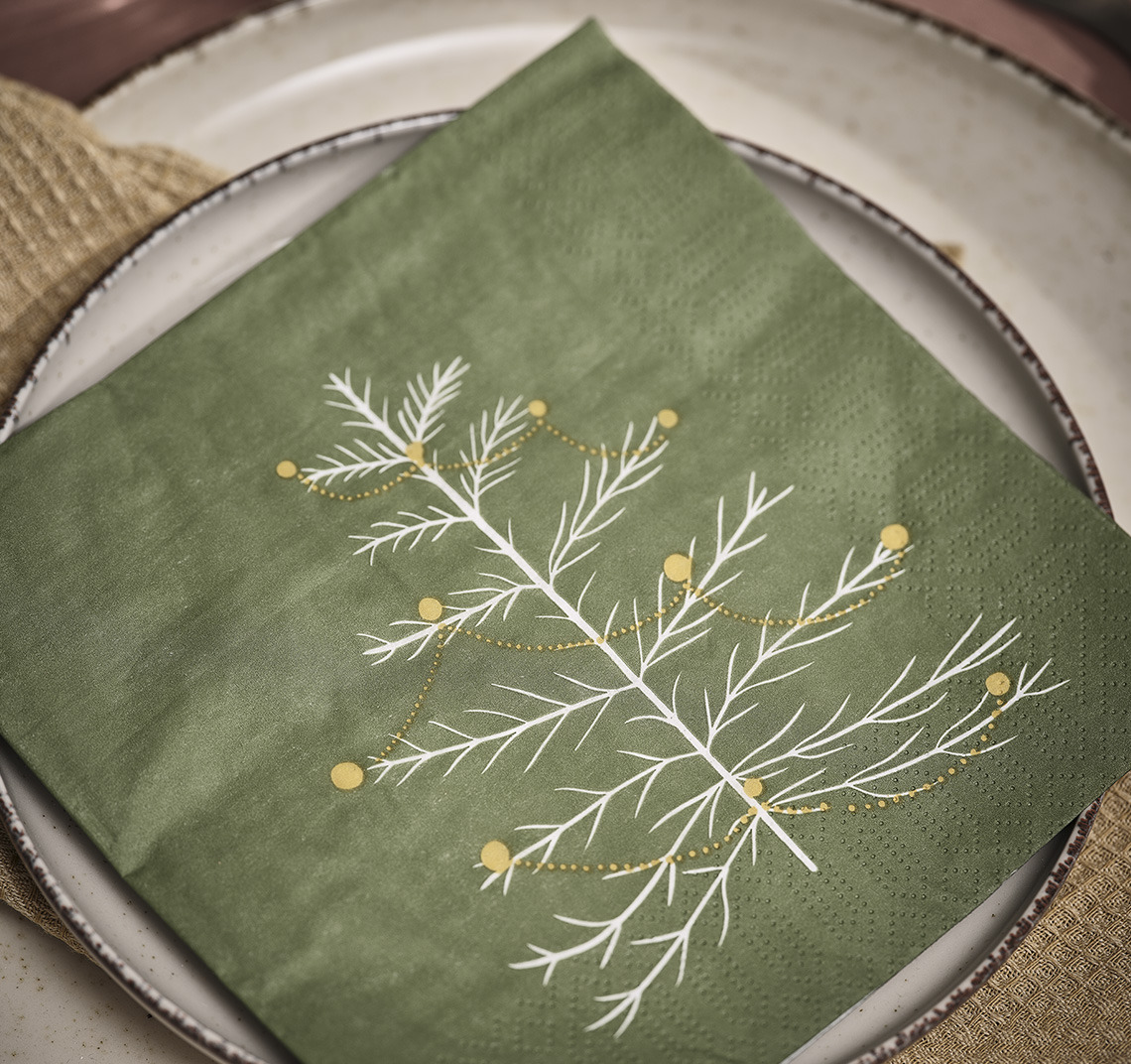 Place setting with plate and a paper napkin