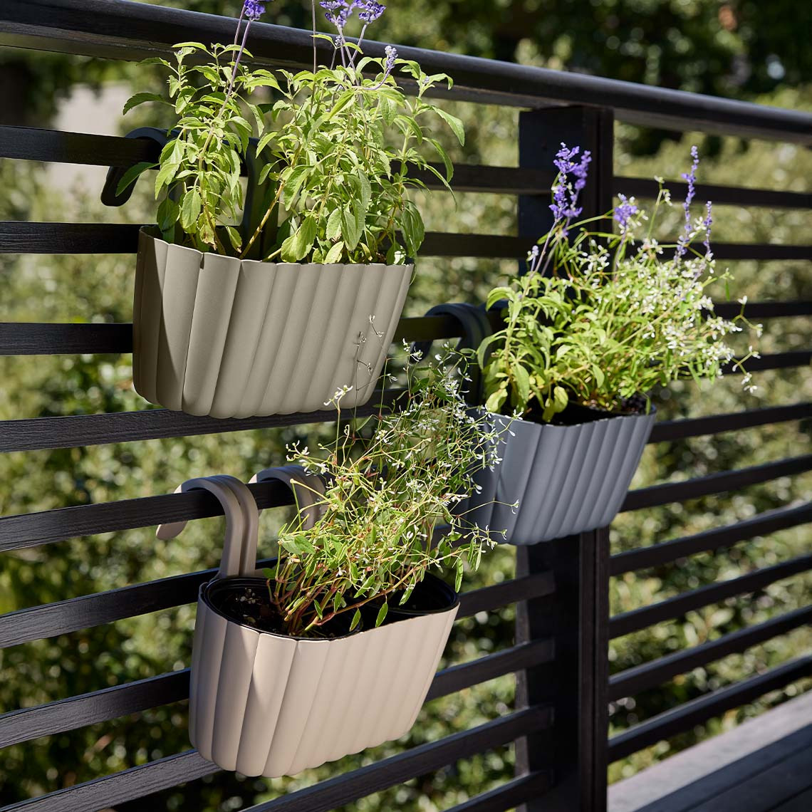 BUKSEBIE balcony planters Balcony hanging planter with green plants