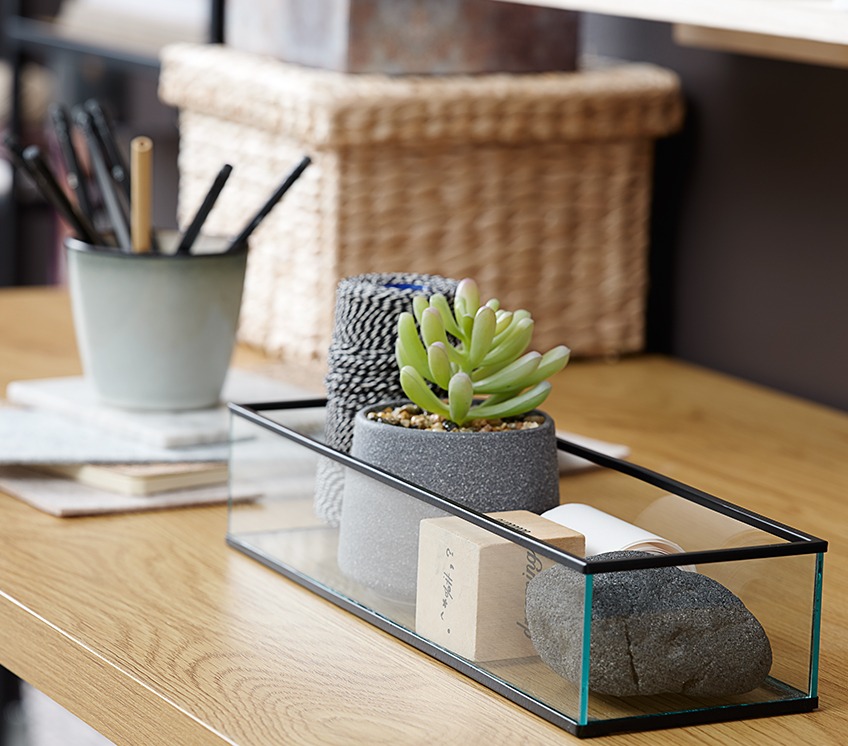 ALVAR tray with LUCAS artificial plant Glass tray with artificial plant and other décor