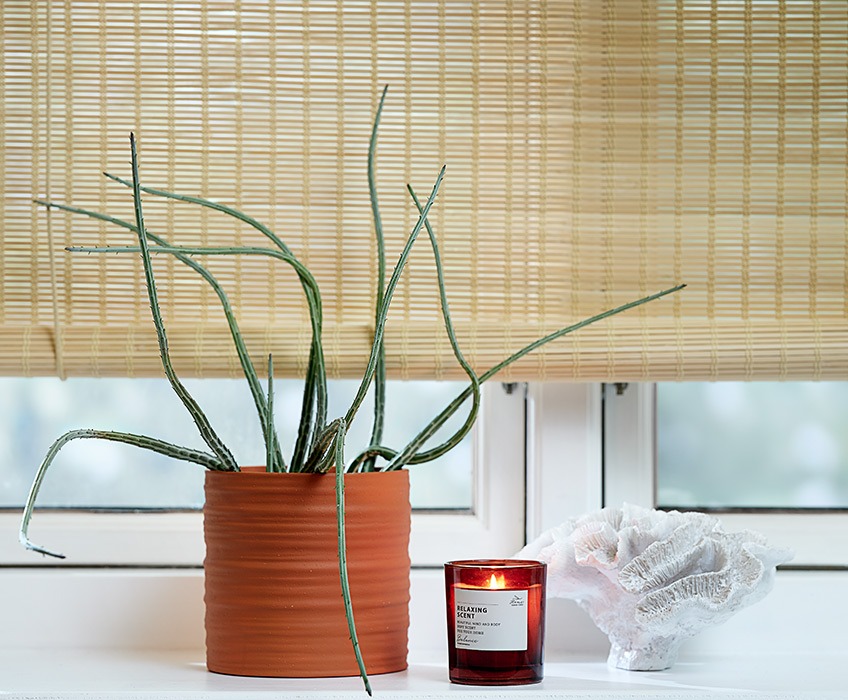 BYRE roller blinds, EJLEV plant pot, JENS scented candle and TORLEK ornament Bamboo roller blinds in a window with a plant pot, a scented candle and an ornament in the windowsill